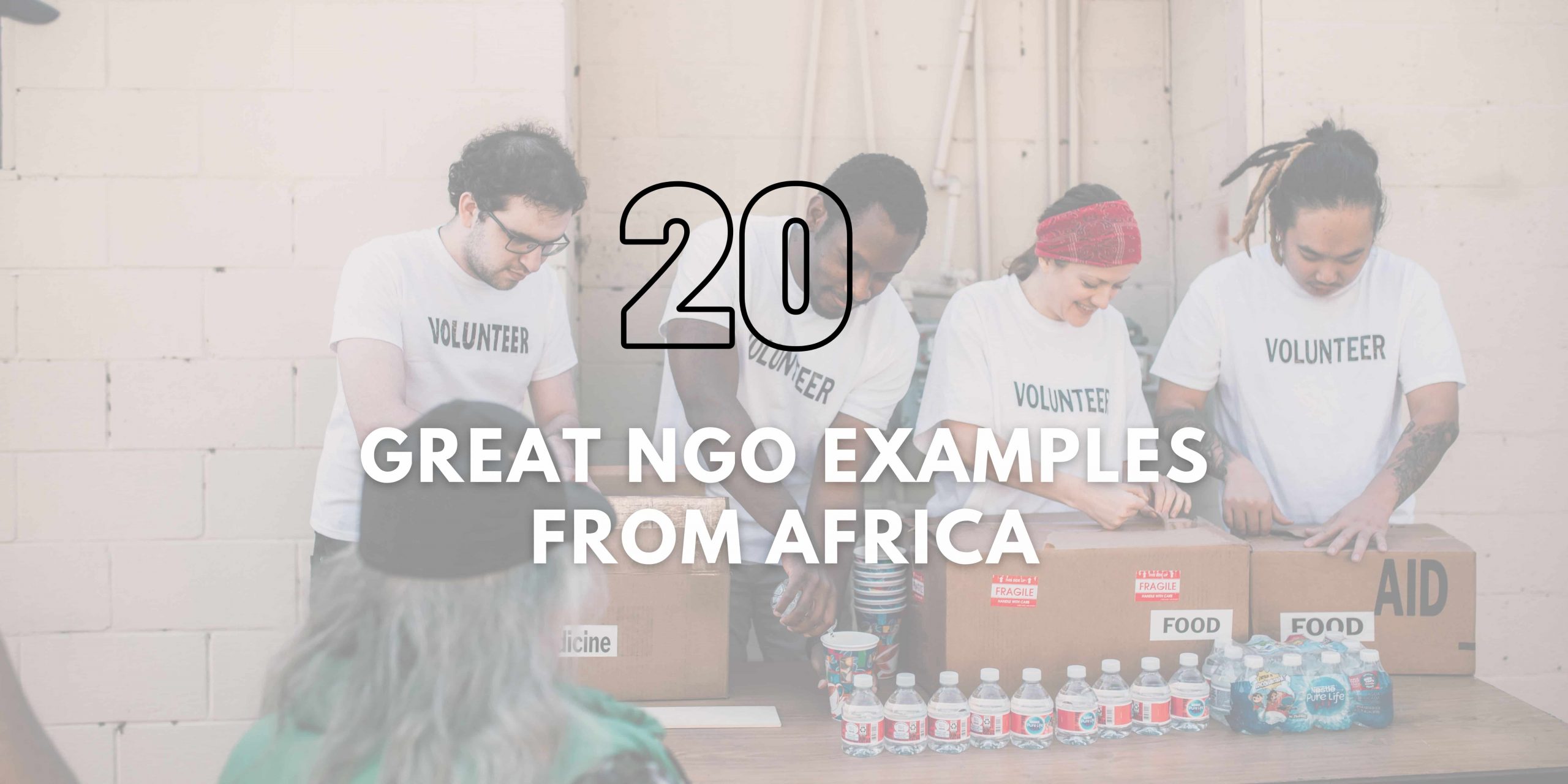 ngo-examples-20-great-ngo-in-africa-by-donate-ng