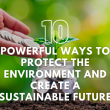 Invest in a Better Future
