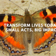 Transform Lives Today: Small Acts, Big Impact