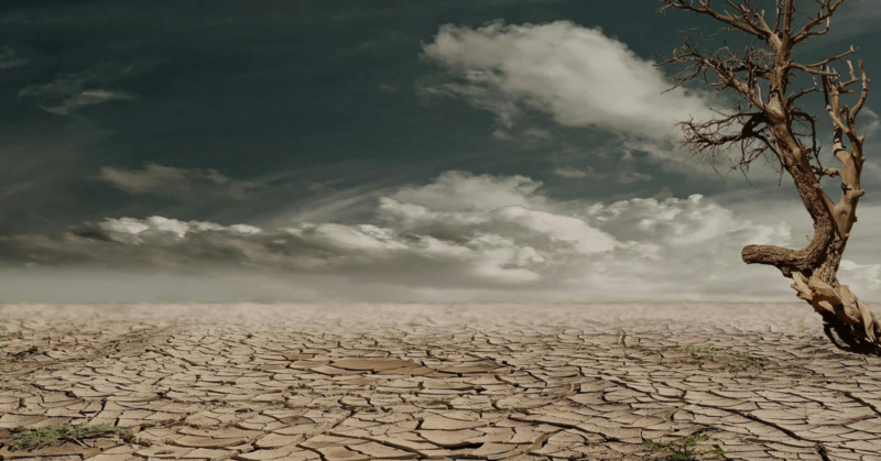 climate change action fund