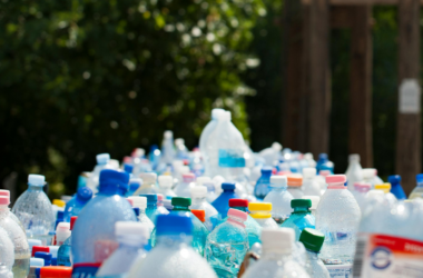 community recycling education program