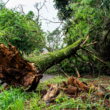 community storm preparedness funding