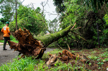 community storm preparedness funding