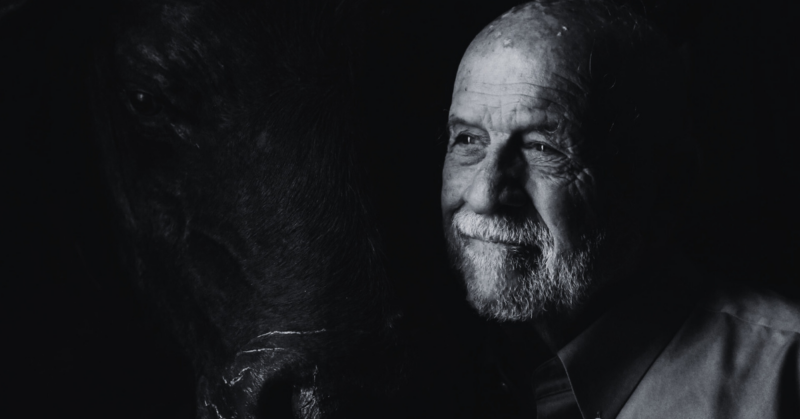 senior mental health advocacy fundraiser