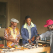 volunteer skill training programs