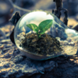community renewable energy
