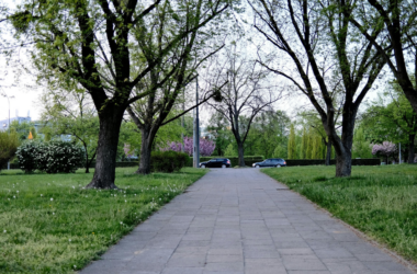 public green infrastructure development