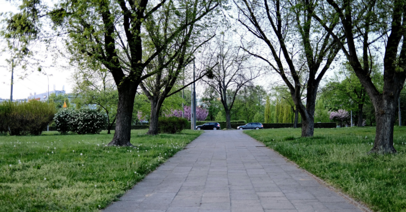 public green infrastructure development