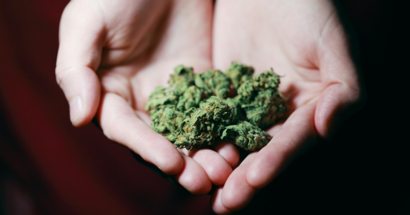 community led opioid crisis response fund