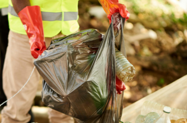 environmental cleanup project