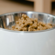 free pet food