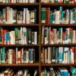 library literacy outreach