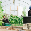local food sustainability education