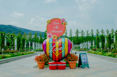 park beautification project