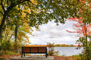 public park accessibility