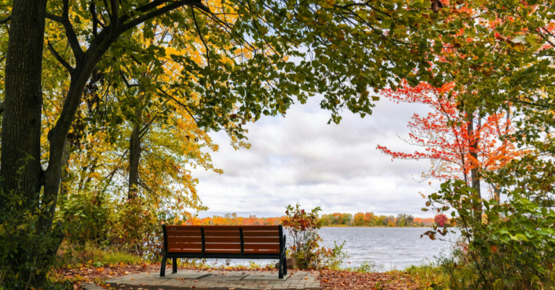 public park accessibility