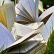 scholarships for formerly incarcerated students