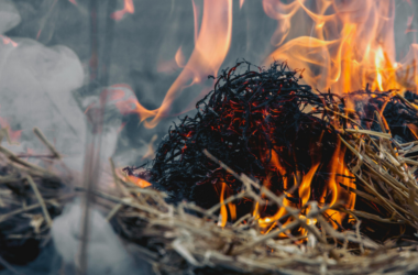 financial recovery for fire affected small farms