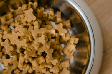 donate emergency pet food for disaster shelters