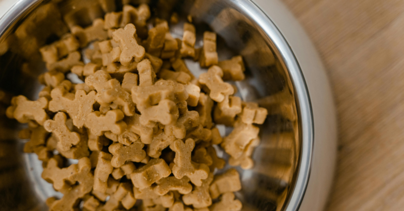 donate emergency pet food for disaster shelters