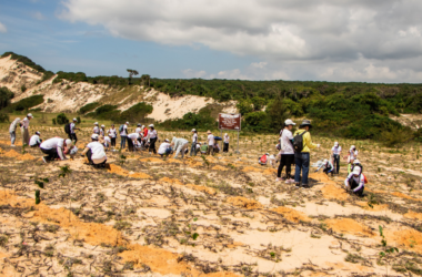 community tree planting initiatives