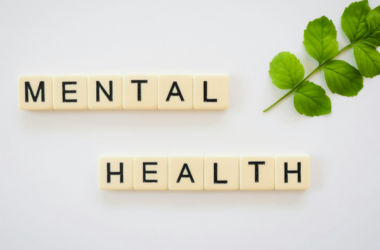 fund community mental wellness days