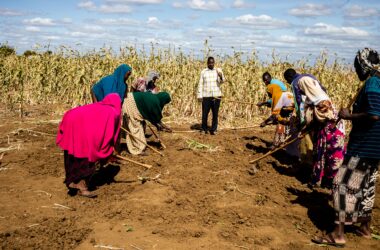 Help provide food support during emergencies