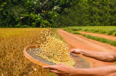 donate community farming equipment for food security