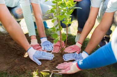 support sustainable community development