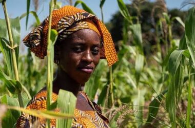 donate to rural development programs